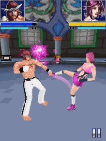 The Fight 3D 320x240 Сенсор и Кнопки