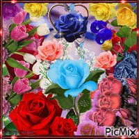 Rosas de colores