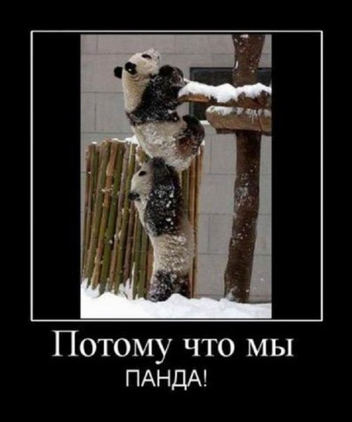 Потому что мы панда