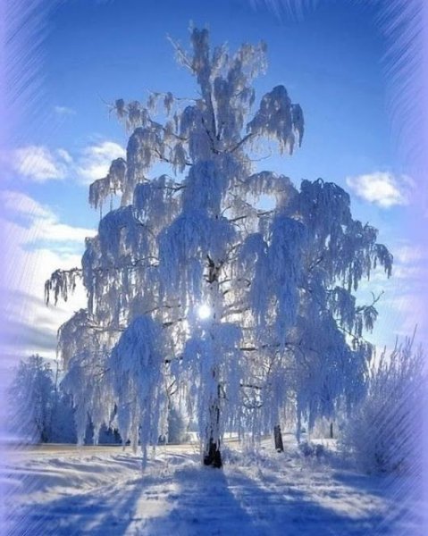 fa8a89a86ce59ba3f24a9c6bd91