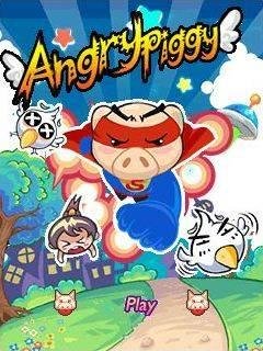 angry piggy