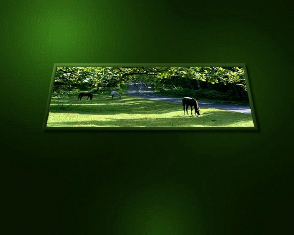 forestgreen
