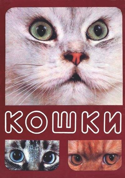 Непомнящий - Кошки