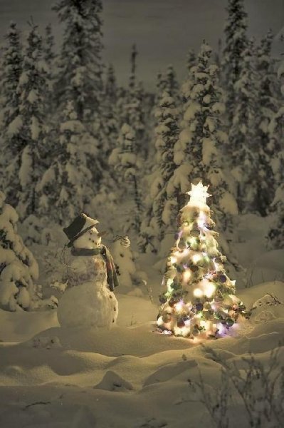 Snowball Christmas World v0-1