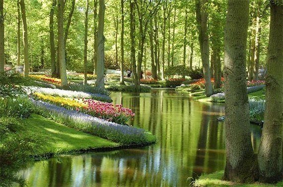 getImage