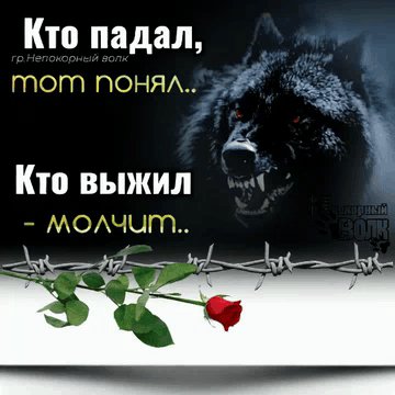 IMG 20260410 232230