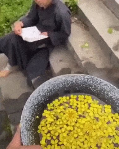 Красота!