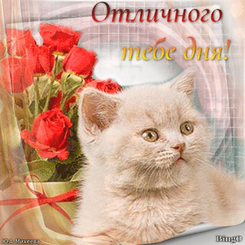 file_84416328