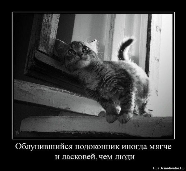 И такое бывает