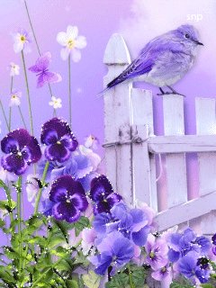 file_62808455