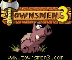 Townsmen3