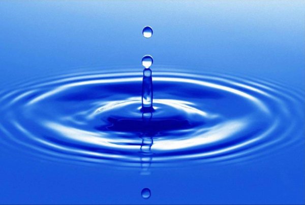 ОБОИ ЖИВАЯ ВОДА