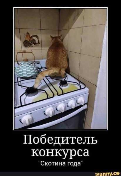 Скотина года