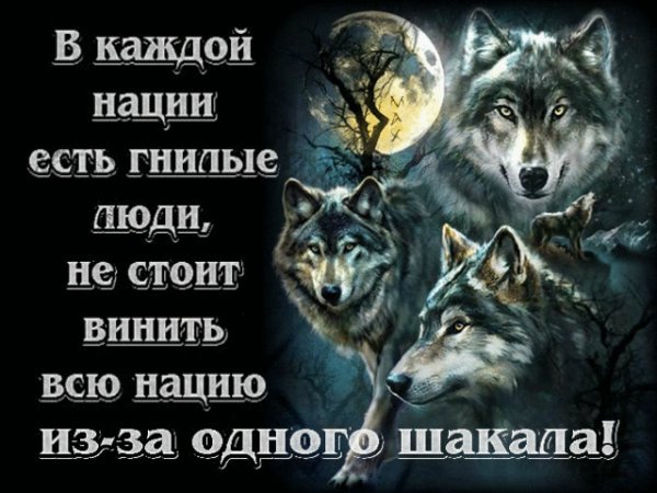 IMG 20170909 225344 50