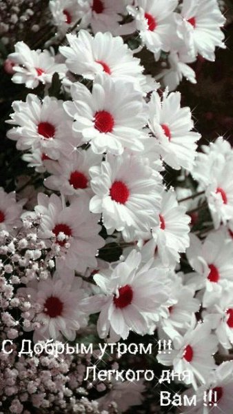 file_78731863