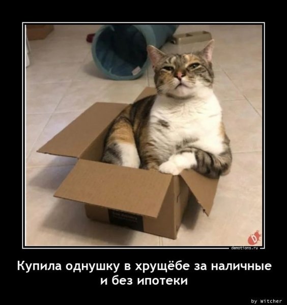 file_84697189