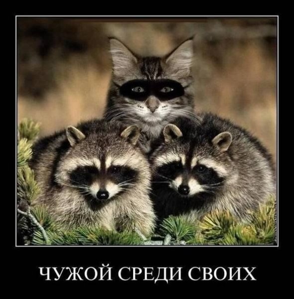 оооо