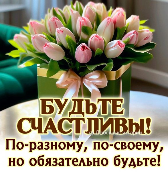 IMG-20240220-WA0018