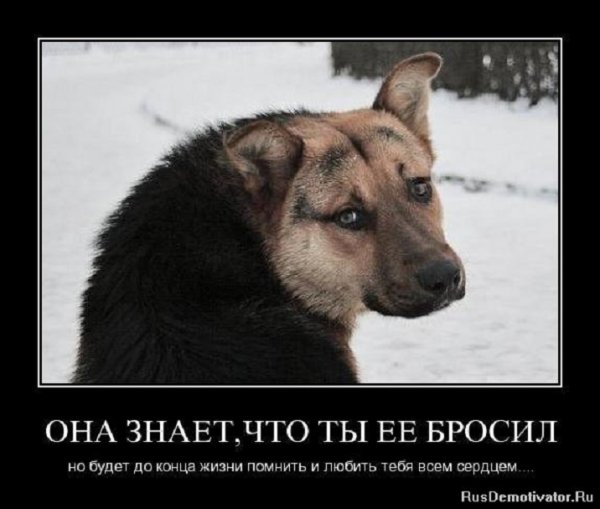 Будет помнить и любить тебя