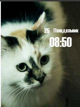Кошечка цифр часы дата