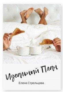Елена Стрельцова Идеальный план