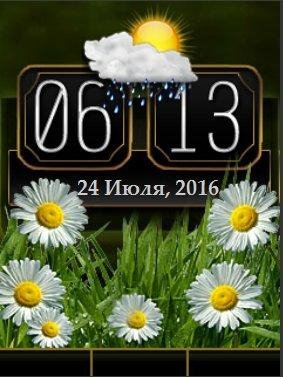 Ромашки день ночь