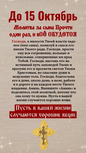 IMG 20241012 205004