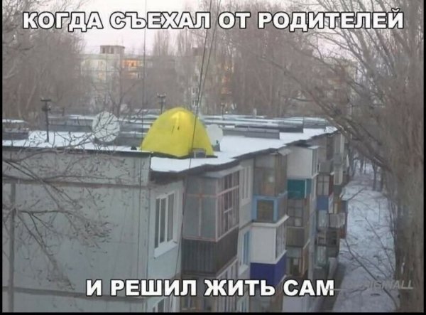 FB IMG 1775929339584