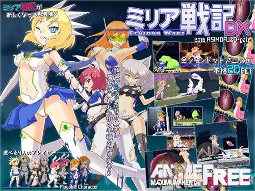 Echidna Wars DX