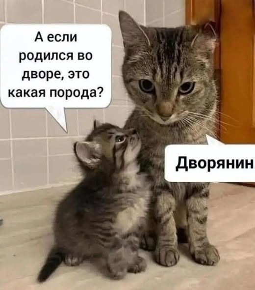 file_102421420