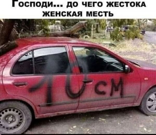 FB IMG 1778147046473