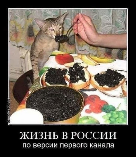 Дем4841