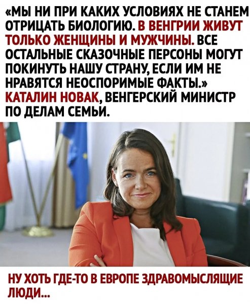 IMG 20260129 203410