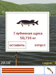 MRR25 со скриншотером