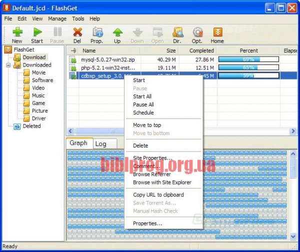 flashget3.7.0.1218en