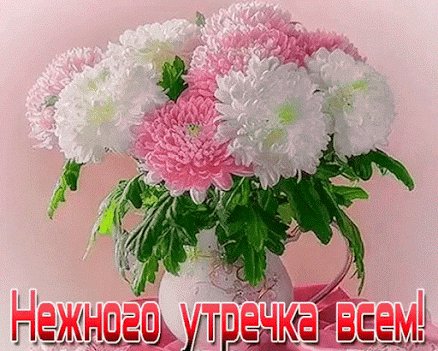 file_67037543