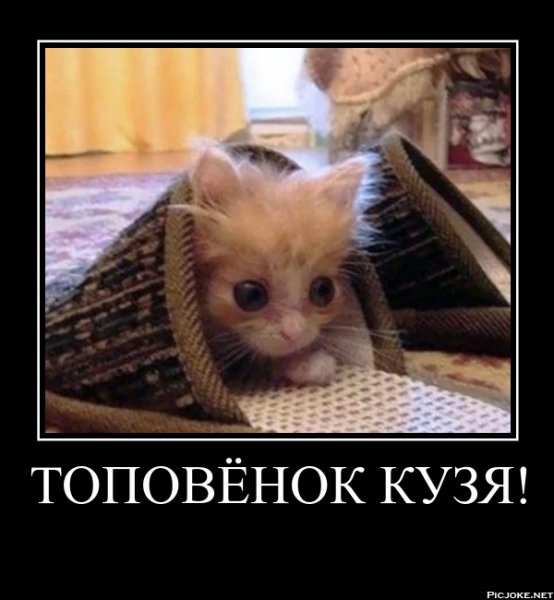 ТОПОВЁНОК КУЗЯ