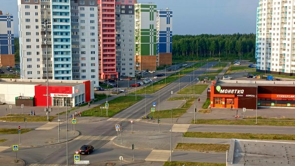 file_100501524