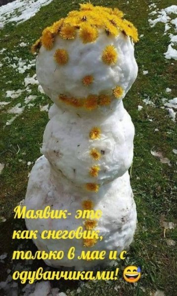 FB IMG 1778184468648