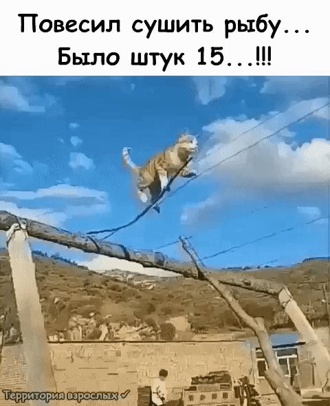 IMG 20230805 100546