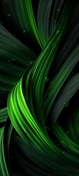 adapted 1080x2408 1773163132