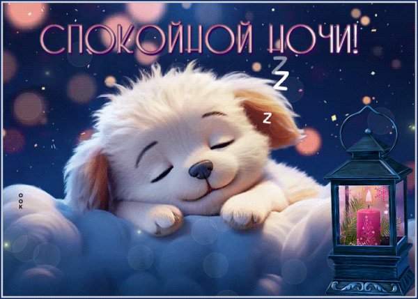 file_100541280