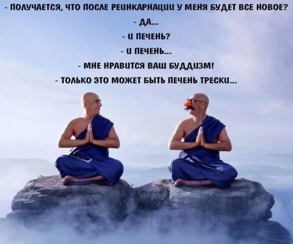 FB IMG 1778184617264