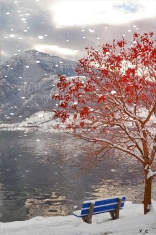 file_66481447