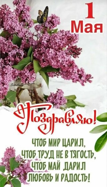 IMG 20260502 234755