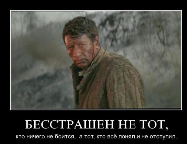 file_64480058