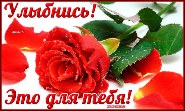 IMG 20161217 181225 52