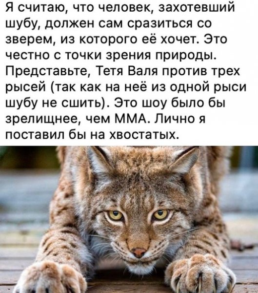 file_86696356