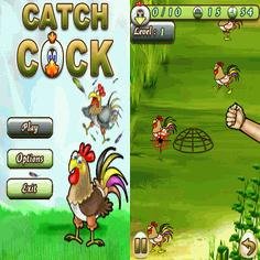 Catch Cock 240x320 touch
