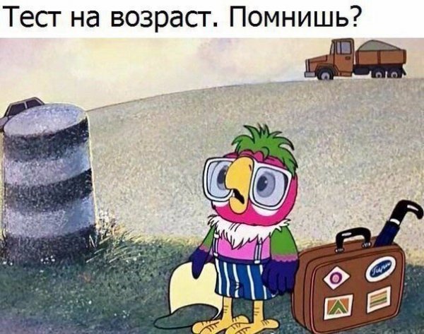 d16yY25lgg